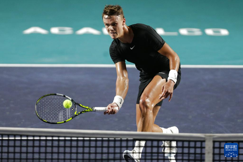 而格列兹曼 而格列兹曼